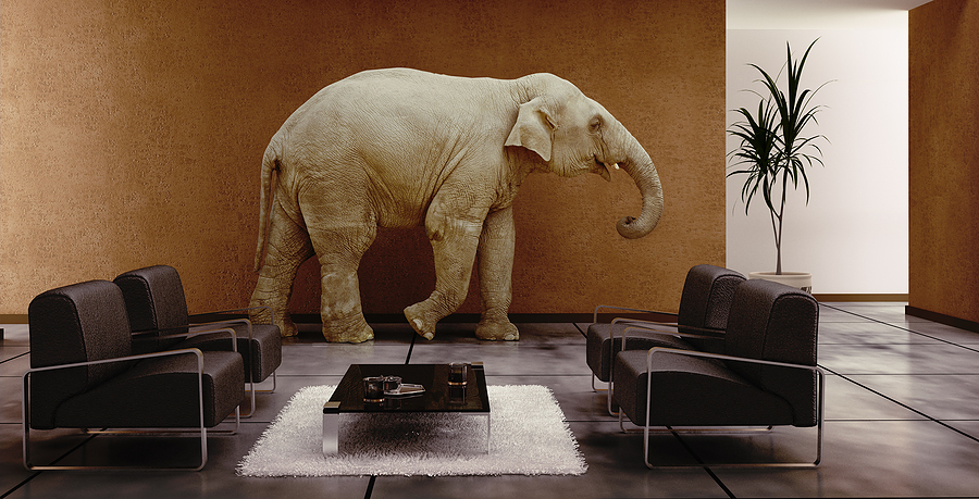Viewpoint: Insurance Broker Valuations – The Elephant in the Room