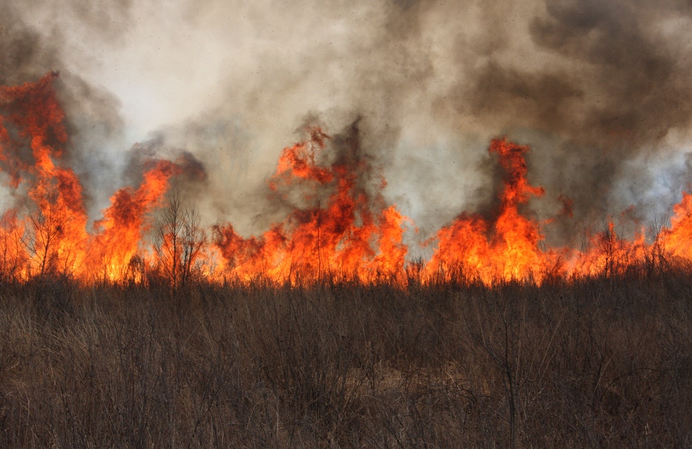 Record-Setting Wildfire in New Mexico Declared Contained